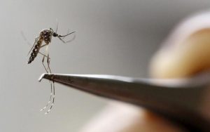 Leia mais sobre o artigo Água Clara registra esse ano 176 casos confirmados de Dengue