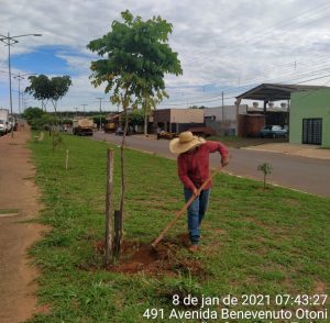 Leia mais sobre o artigo MEIO AMBIENTE