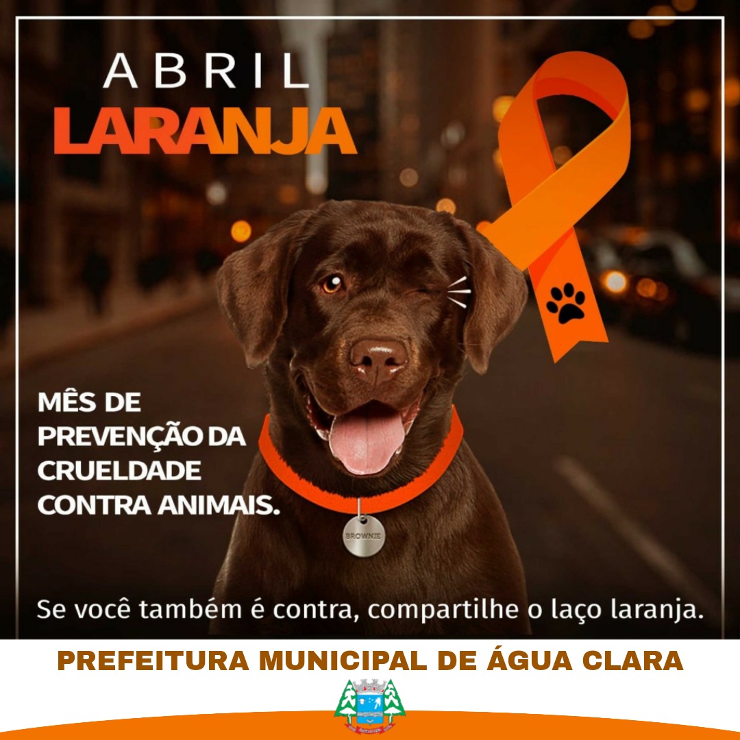 ABRIL LARANJA – Mês de prevenção da crueldade contra animais.