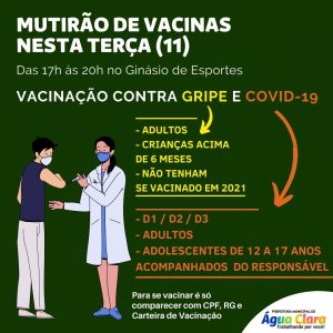 Segundo Mutirão de vacinação nesta terça (11)