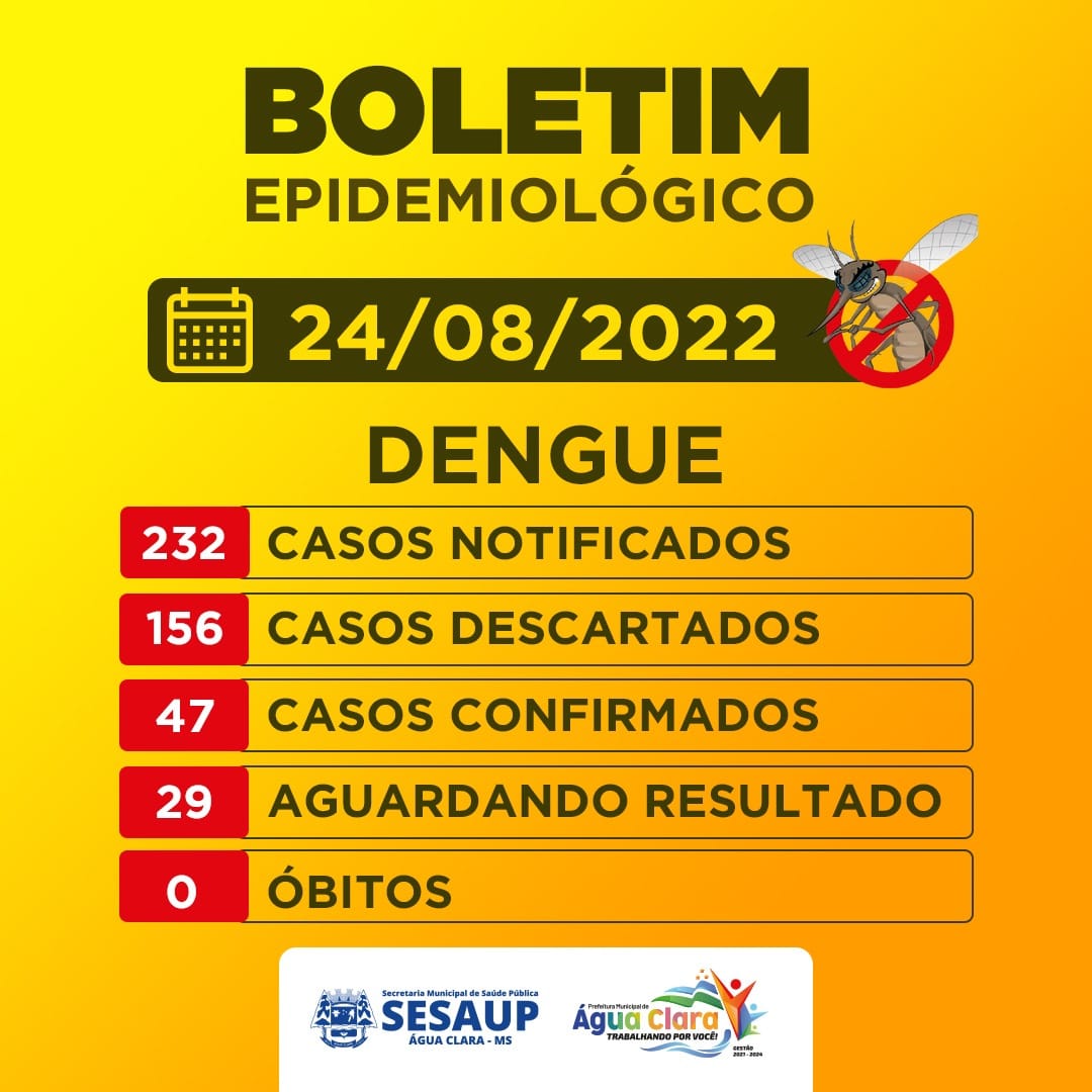 No momento você está vendo Boletim Epidemiológico da Dengue até 24 de agosto de 2022