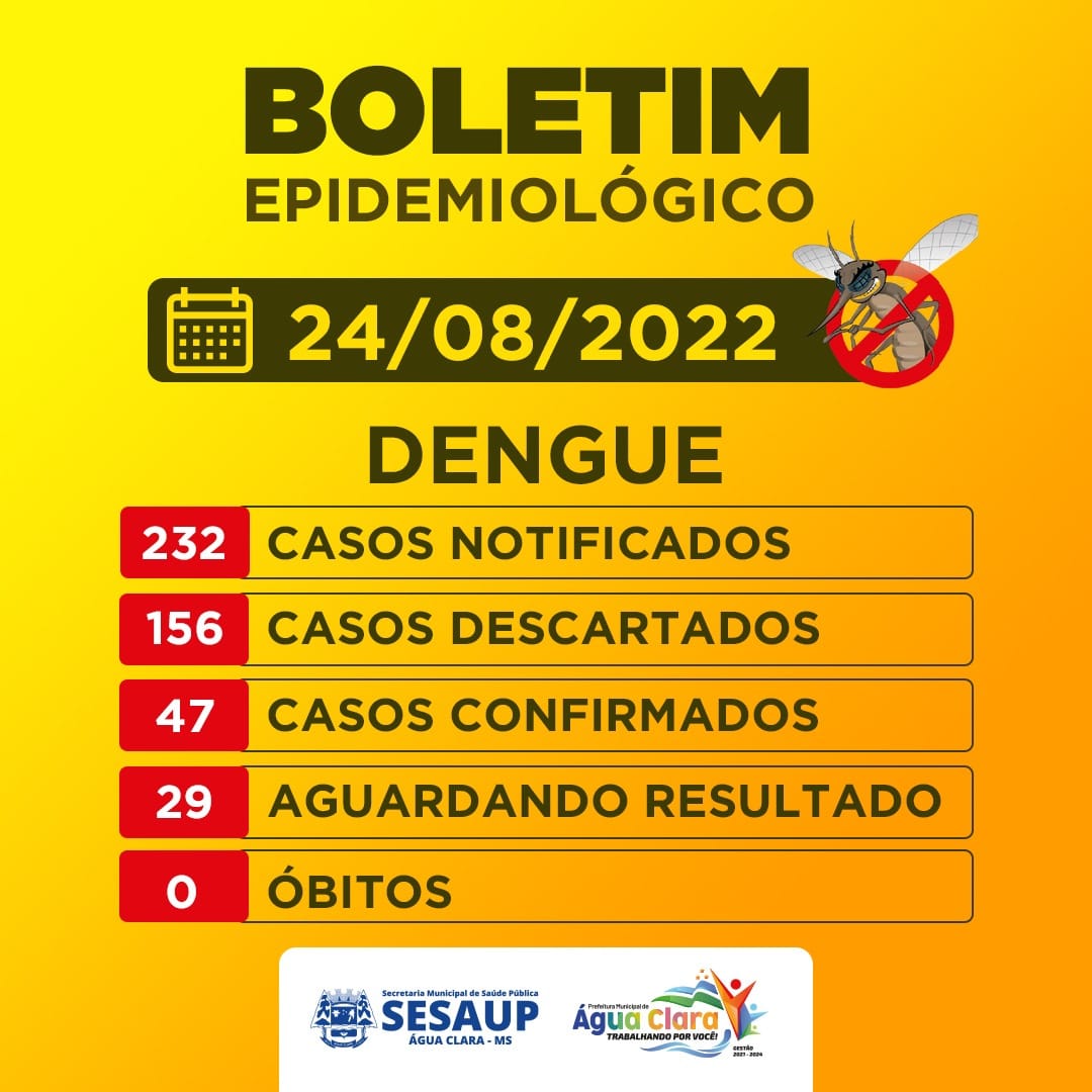Boletim Epidemiológico da Dengue até 24 de agosto de 2022