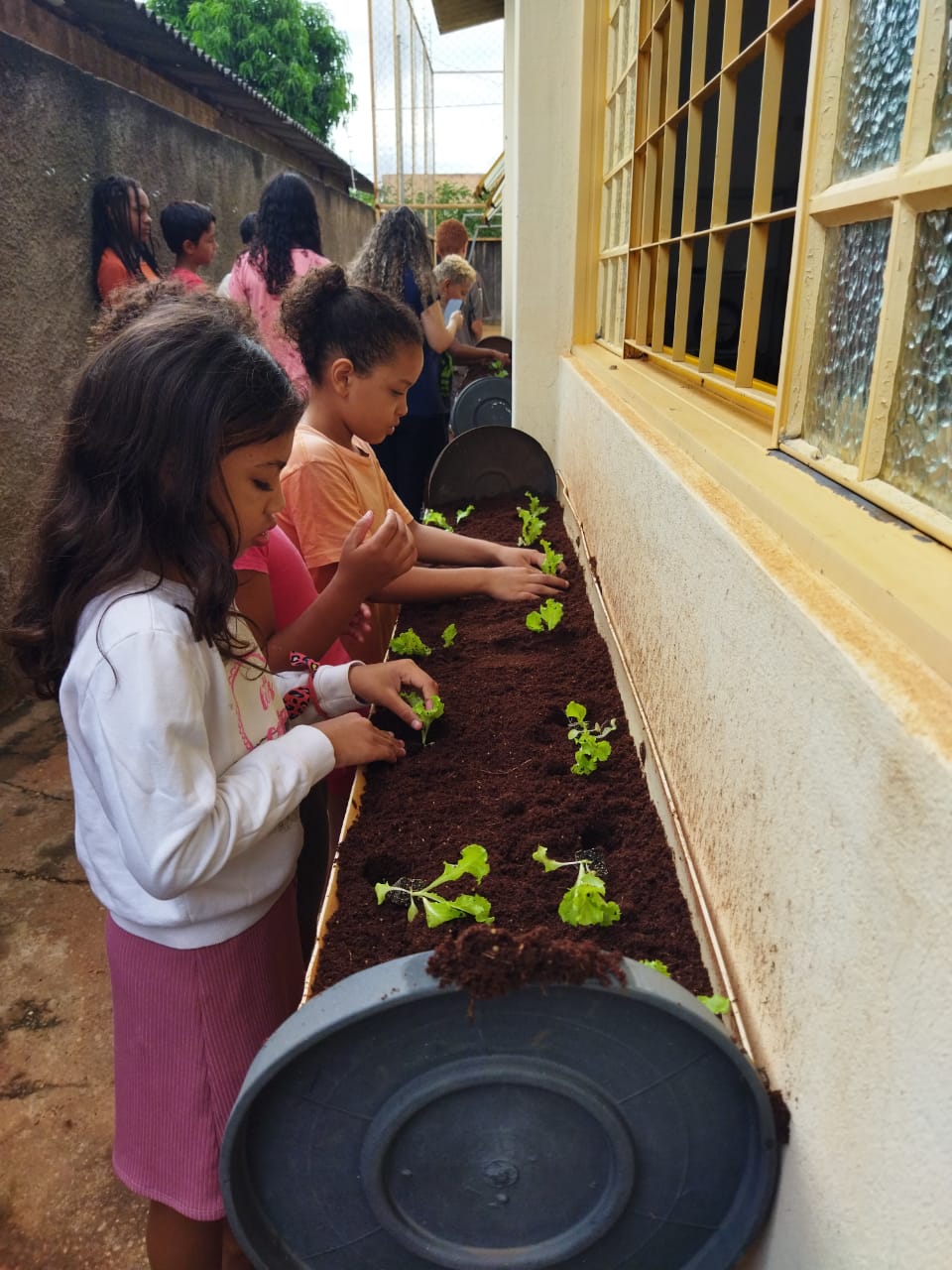 No momento você está vendo Secretaria de Meio Ambiente realiza “Projeto Cultivando o Futuro” no Centro Juvenil