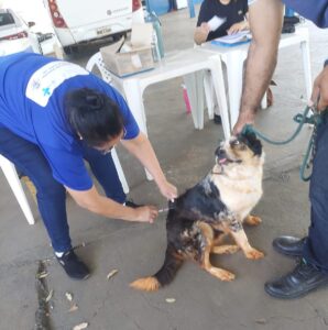 Leia mais sobre o artigo Campanha contra a raiva protege mais de 500 animais em um único dia