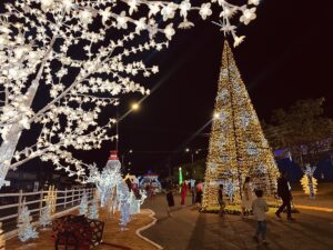 Leia mais sobre o artigo “Cidade Luz” transforma Água Clara em conto de Natal