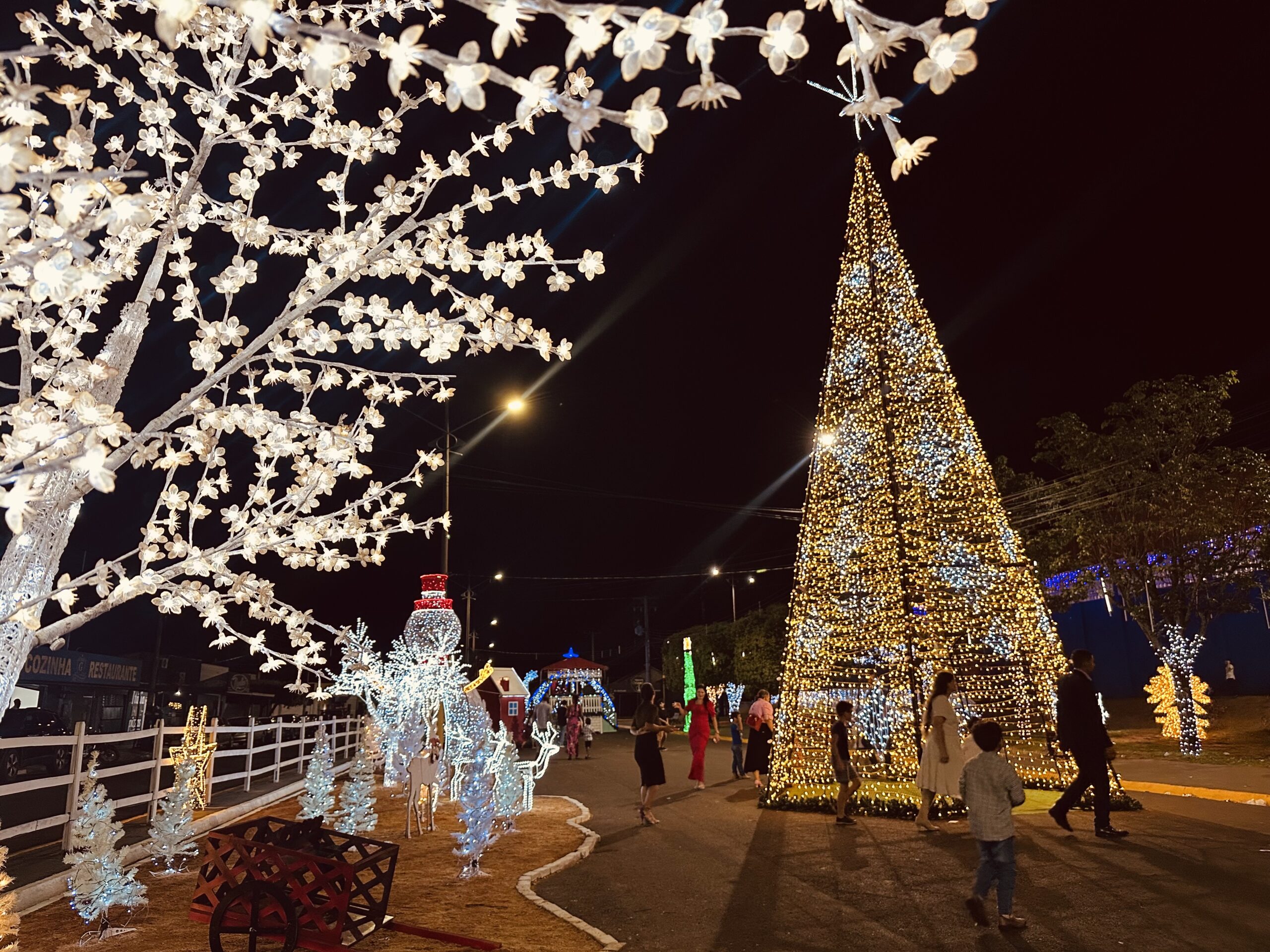 Leia mais sobre o artigo “Cidade Luz” transforma Água Clara em conto de Natal