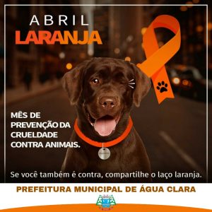 Leia mais sobre o artigo ABRIL LARANJA – Mês de prevenção da crueldade contra animais.