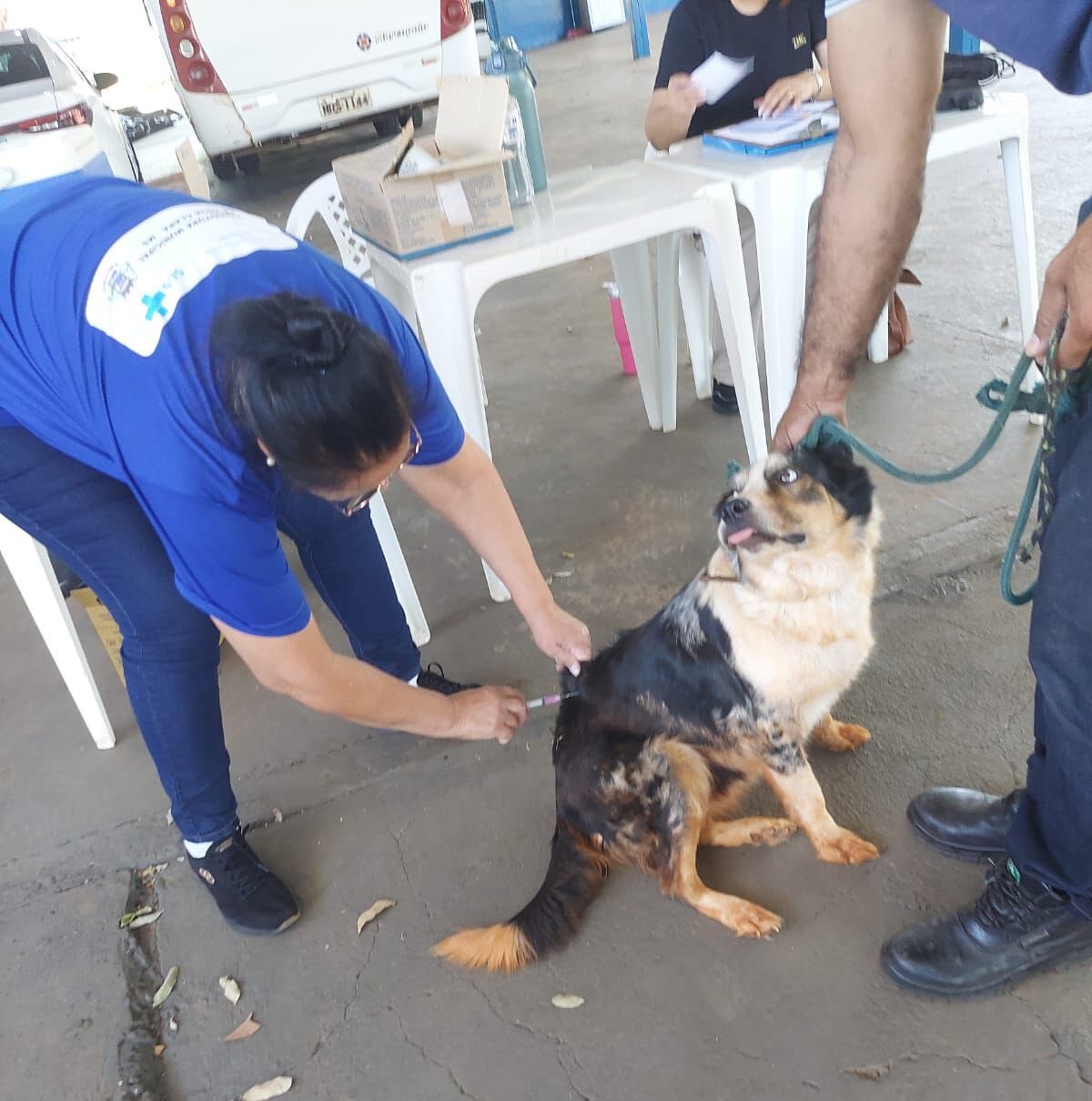 No momento você está vendo Campanha contra a raiva em protege mais de 500 animais em um único dia